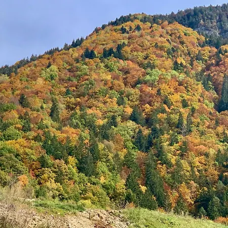 Et De L'hermitage Тон