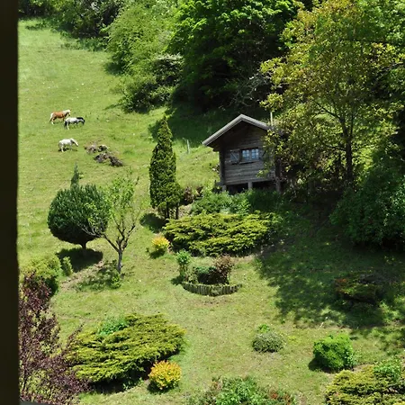 Апарт-отель Et De L'hermitage Тон